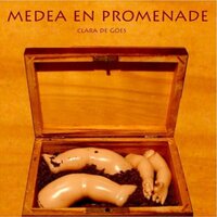 O Saber das Pedras - André Paixão