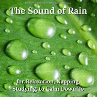 Rain Sounds for Health - Nature Sounds & Rain Sounds & Rain Sounds to Fall Asleep To