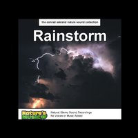 Rainstorm Nature Sounds - Nature's Music