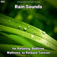 Rain Sounds for the Bedroom - Rain Sounds No Music & Nature Sounds & Rain Sounds