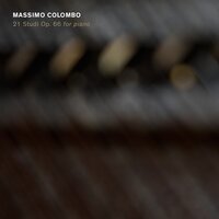 Studio no. 13 op. 66 - Massimo Colombo