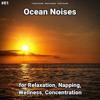 Ocean Noises Part 39 - Coastal Sounds & Nature Sounds & Ocean Sounds