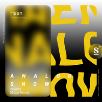 Analog Snow - HAEN & Qbical