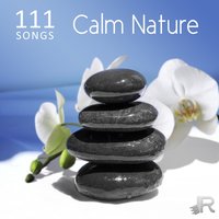 Office Background Music - Calming Water Consort