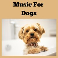 Zen Paws - Music for Dogs & Music for Dogs Peace & Relaxing Puppy Music & Calm Pets Music Academy
