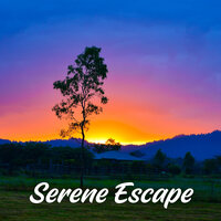 Free Space - The Spa Guru