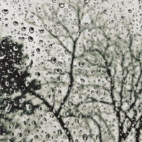 Calming Rains Meditation - Relaxing music & Calming Sounds & Ambient Music Therpy