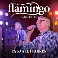 Dance the Night Away - Flamingokvintetten