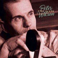 Fire Alarm - Peter Wilson & Mike Ross