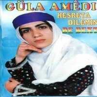 Ho Leylo - Güla Amedi