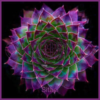 Glowing Reverie - CHRISTO GEM