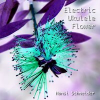 Solitude (Ukulele & Sounds) - Hansi Schneider