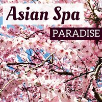 Asian Spa Paradise - Paul Paradise
