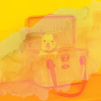 Bossa Trombone Soundtrack for Separation Anxiety - Beautiful Relaxing Dog Music