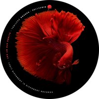 Planetary Boundaries - Sascha Zastiral