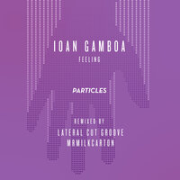 Feeling - Ioan Gamboa & Mrmilkcarton