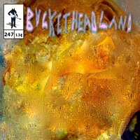 Other Portals - Buckethead