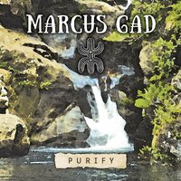 Purify - Marcus Gad