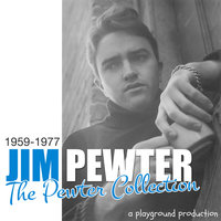 Rebel on the Run - Jim Pewter & Davie Allan & Jim Pewter & Davie Allan
