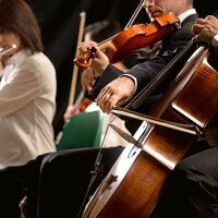 Sleep Embraces Orchestral Tunes - Emerald High & Zen Sleep Music Guru & Sleepy Sheep Music