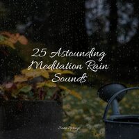 Windy Rain Weather - Yoga Para Ninos & Sonidos de lluvia para dormir & Rain Sound Plus