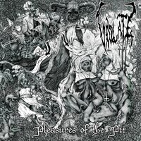 Servants of Disillusion - Violate