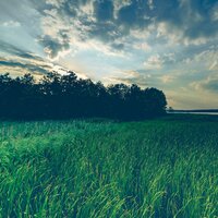 Late Night Mood - Lullabies for Deep Meditation & Spa & Organic Nature Sounds