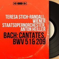 Non sa che sia dolore, BWV 209: Sinfonia - Teresa Stich-Randall & Wiener Staatsopernorchester & Anton Heiller & Hans reznicek & Teresa Stich-Randall, Wiener Staatsopernorchester, Anton Heiller, Hans Reznicek & Johann Sebastian Bach