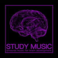 Calm Your Brain - RelaxingRecords & Concentration Music Minds & Study Music Zone