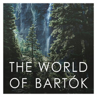 Bartók: Six Rumanian Folk Dances, Sz 56 - Andor Foldes & Бела Барток
