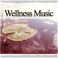 Healing Chakra - SPA & Wellness Massage Masters