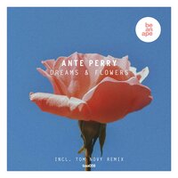 Dreams & Flowers - Ante Perry & Tom Novy