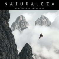 Lluvia Helada De Montaña - Paz Nirvana & Sonidos Naturaleza & Ruidos de la Selva