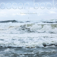 ocean 1 Stanstead - Romano Musumarra