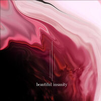 Beautiful Insanity - Elijah Jones