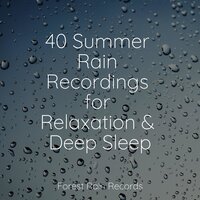 Rain in a Barrel - Entspannungsmusik Meer & Rain Shower Spa & Regengeräusche