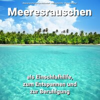 Grandiose Zeiten - Meeresrauschen Ruwen Middendorf & Naturgeräusche & Meeresrauschen