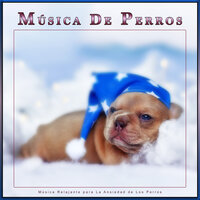 Música relajante para mascotas dormidas - Música Para Dormir A Los Perros & Colectivo De Música Para Perros & Música Relajante para Perros
