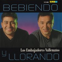 Quiero Tu Cariño - Los Embajadores Vallenatos
