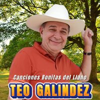 Solo en la Vida - Teo Galíndez