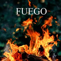 Fuego - Taick