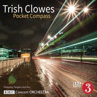 Symphony in Yellow - Gwilym Simcock & Trish Clowes