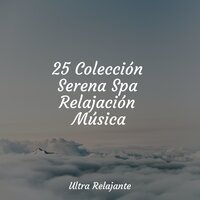 Podemos Volar - Master Meditação & Música De Relajación Para Dormir Profundamente & Relajantes sonidos de lluvia