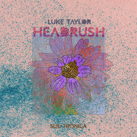 Headrush - Luke Taylor & Acid Grove & Leeu