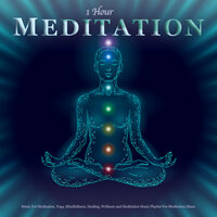 Meditation - 1 Hour Meditation & Meditation Music Playlist & Meditation Music