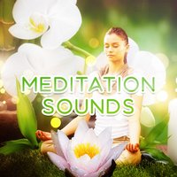 Reiki Spirit - Meditation Zen Master