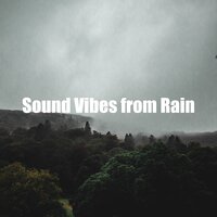 Sleepful Heavy Rain - Concentration Rain Sounds