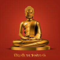 Pipa relaxant - Bouddha Musique Sanctuaire
