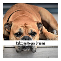 Calming Doggy Sweet Sleep Sounds - Calming Doggy Sleep