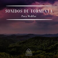 Sonidos de Tormenta para Meditar, Pt. 19 - Lluvia del Bosque